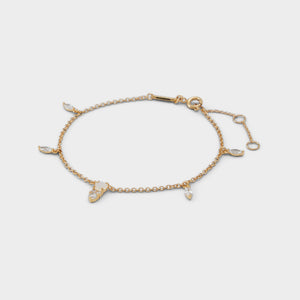 ALDO BRACELET Multi Color |13994819